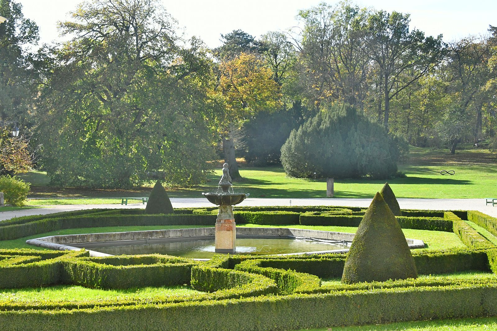 Botanikai séták - ébredő természet a Károlyi Kastélyparkban